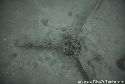 Propeller Consolidated Catalina PBY-5A